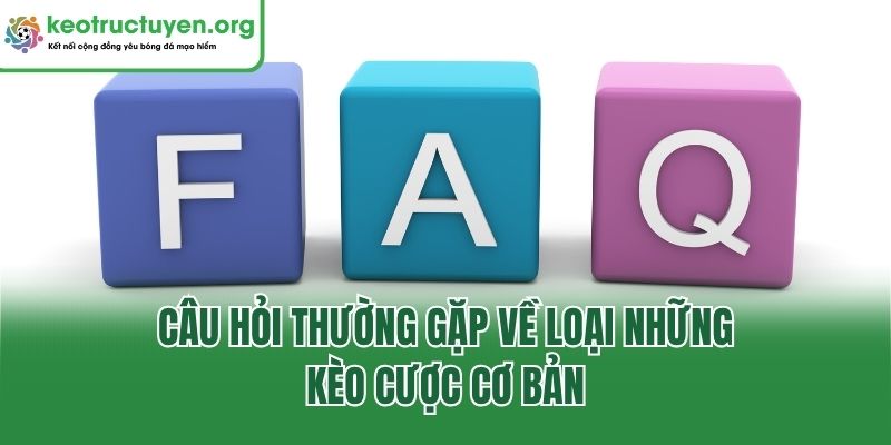 Giải Đáp 11+ Câu Hỏi Thường Gặp Nhất Tại Keonhacai5 2026 Câu hỏi thường gặp về loại những kèo cược cơ bản