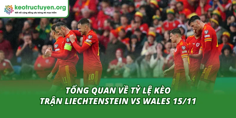 Tỷ Lệ Kèo Trận Liechtenstein Vs Wales 15/11 – Dự Đoán Chuẩn Tỷ lệ kèo trận Liechtenstein vs Wales 15/11 mới nhất hôm nay