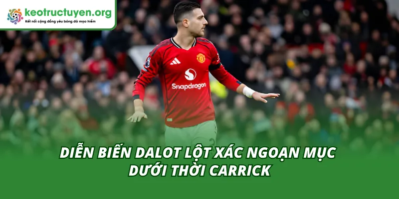 Dalot Lột Xác Ngoạn Mục Dưới Thời Carrick: Hồi Sinh Thần Kỳ Tổng quan về quá trình Dalot lột xác ngoạn mục dưới thời Carrick