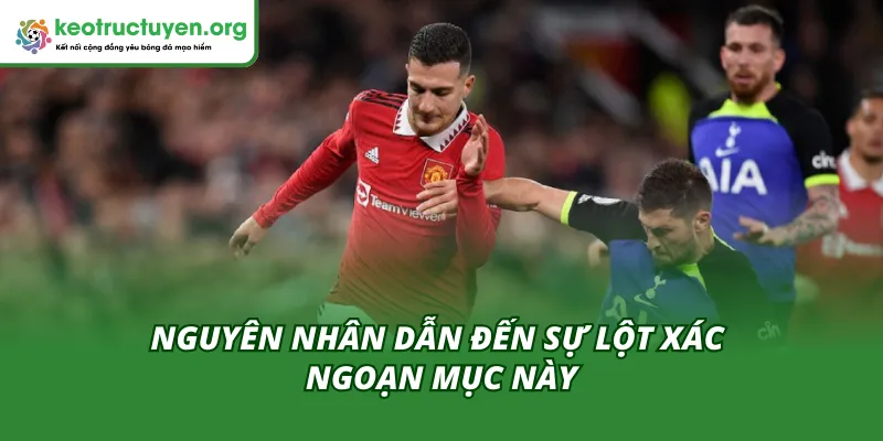 Dalot Lột Xác Ngoạn Mục Dưới Thời Carrick: Hồi Sinh Thần Kỳ Lý do khiến Dalot lột xác ngoạn mục dưới thời Carrick