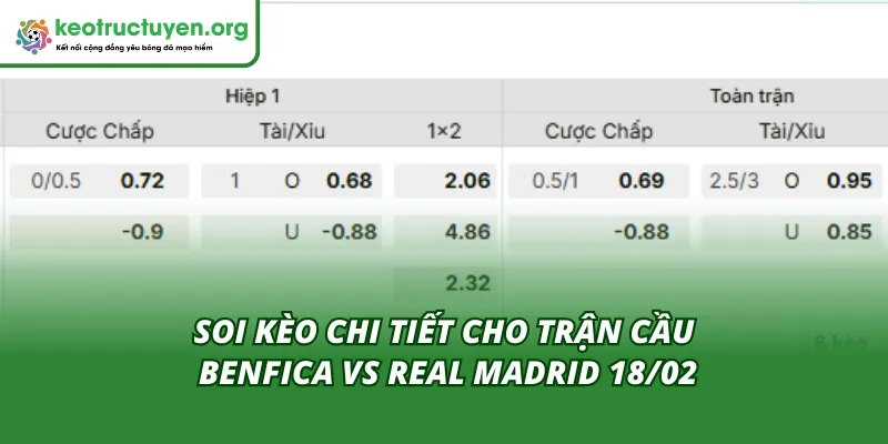 Tỷ Lệ Kèo Trận Benfica - Real Madrid 18/02: Bản Lĩnh Nhà Vua Cùng Kèo Nhà Cái soi tỷ lệ kèo trận Benfica - Real Madrid 18/02