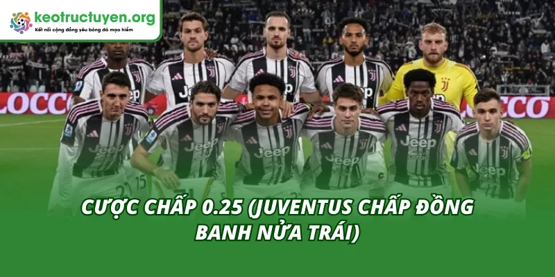 Dự Đoán Chi Tiết Tỷ Lệ Kèo Trận Galatasaray - Juventus 18/02 Cược chấp 0.25 là mức lời của tỷ lệ kèo trận Galatasaray - Juventus 18/02