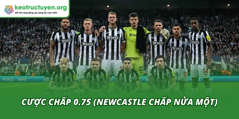 Soi tỷ lệ kèo trận Karabakh - Newcastle 19/02 mới nhất Cược chấp 0.75 là mức hời trong tỷ lệ kèo trận Karabakh - Newcastle 19/02