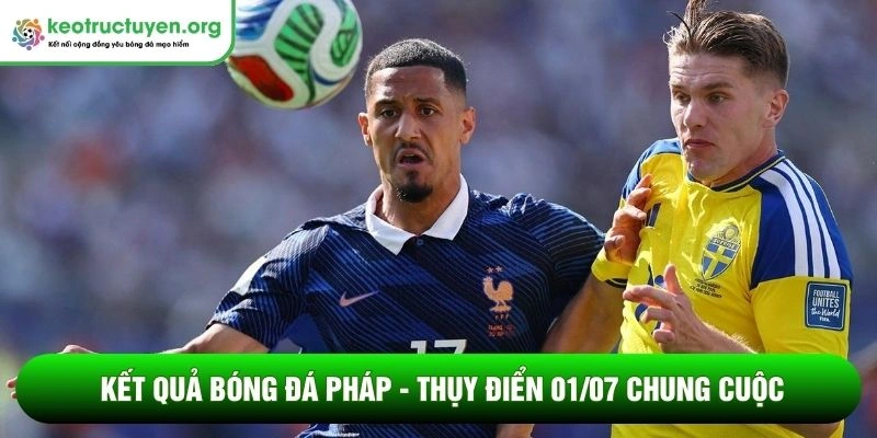 Kết quả bóng đá Pháp - Thụy Điển 01/07 chung cuộc