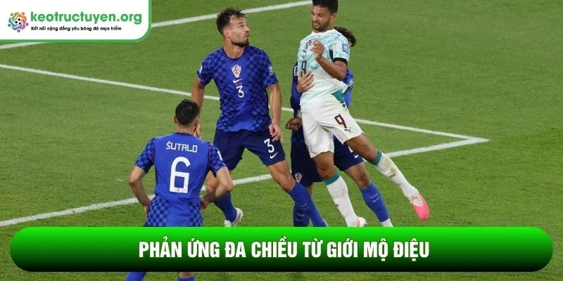 Phản ứng đa chiều từ giới mộ điệu